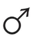 Masculine Embodiment